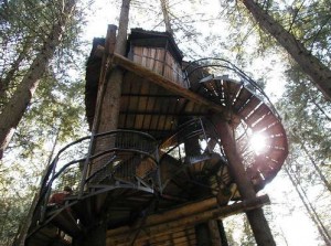 spiral_staircase_to_treehouse_enchanted_forest_revelstoke_bc
