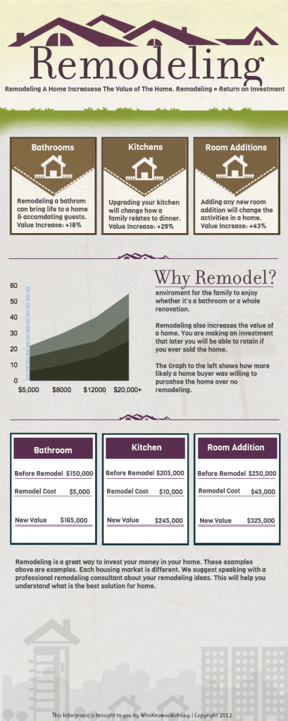 Remodeling Roi Infographic